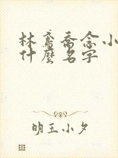 林鸢乔念小说叫什么名字