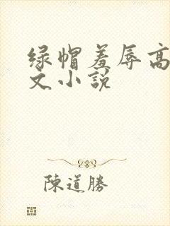绿帽羞辱高辣h文小说