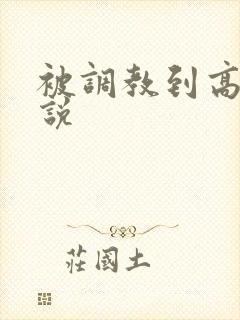 被调教到高潮小说