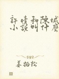许晴和陈城原著小说叫什么封面