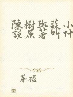 陈树与苏小小小说原著叫什么