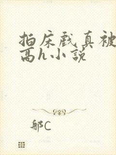 拍床戏真被肉h高h小说