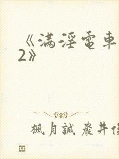 《满淫电车调教2》