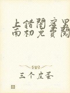 上错闺蜜男友沈南初免费阅读全文封面