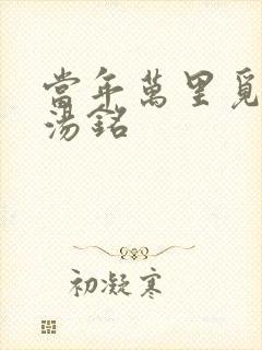 当年万里觅封侯汤铭