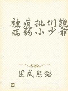 被疯批们觊觎的病弱小少爷免费阅读乔松月封面