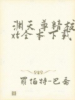 渊天尊精校版txt全本下载