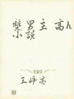 双男主 高h 小说