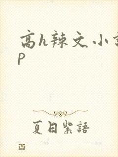 高h辣文小说np封面