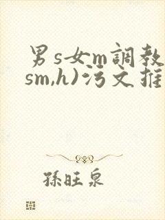 男s女m调教(sm,h)污文推荐