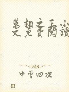万相之王小说全文免费阅读无弹窗封面