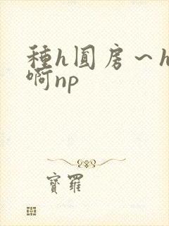 种h圆房～h嗯啊np