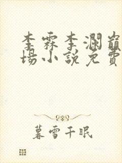 李霖李澜巅峰官场小说免费阅读封面