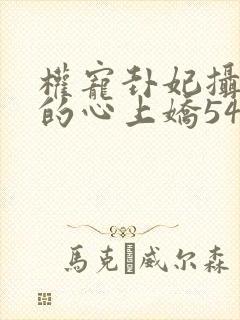 权宠卦妃摄政王的心上娇54章