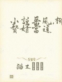 小说岳风,柳萱赘婿当道