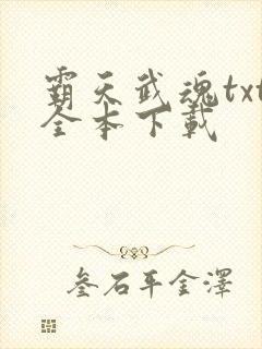 霸天武魂txt全本下载封面