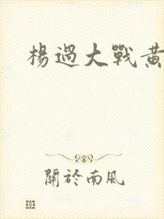 杨过大战黄蓉
