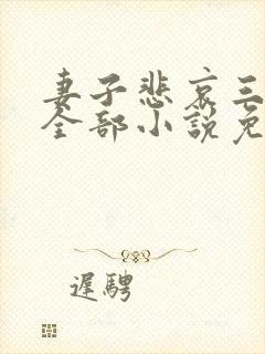 妻子悲哀三部曲全部小说免费阅读封面