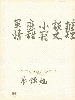 军恋小说推荐言情甜宠文短篇小说