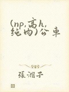 (np,高h,纯肉)公车
