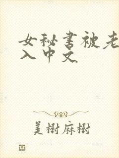 女秘书被老板插入中文封面