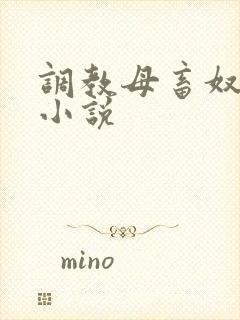 调教母畜奴隶的小说