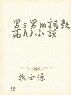 男s男m调教(高h)小说