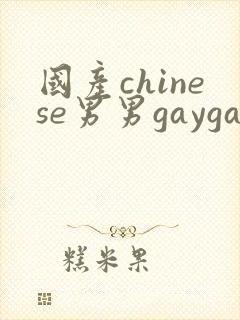 国产chinese男男gaygay网站在线观看