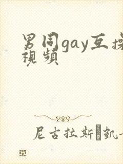 男同gay互操视频