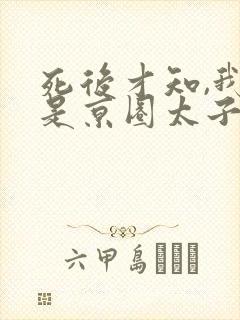 死后才知,我竟是京圈太子白月光短剧免费