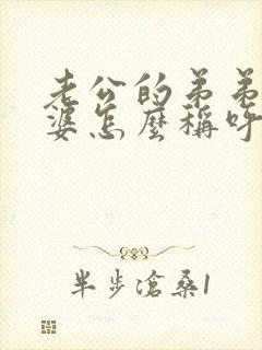 老公的弟弟的老婆怎么称呼封面