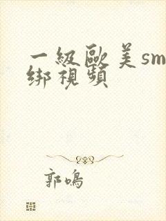 一级欧美sm捆绑视频