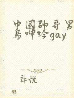 中国帅哥男同大鸟呻吟gay封面