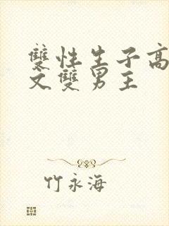 双性生子高辣h文双男主