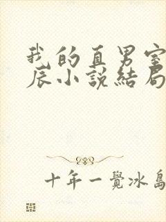 我的直男室友张辰小说结局