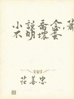 小说乔念,萧衡不明坏蛋封面