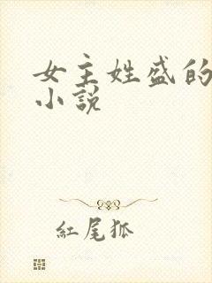 女主姓盛的现代小说封面