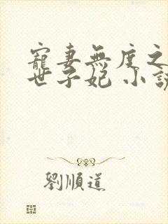 宠妻无度之腹黑世子妃 小说