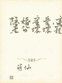 隐婚蜜爱,高冷老公坏坏宠