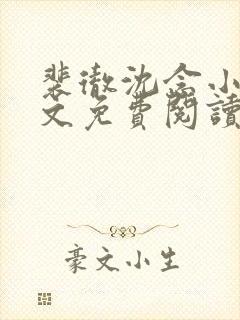 裴彻沈念小说全文免费阅读