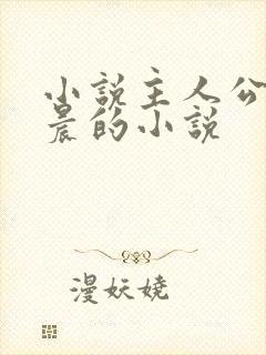 小说主人公叫林晨的小说