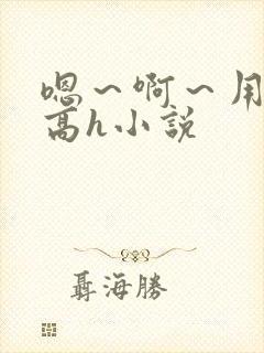 嗯~啊~用力~高h小说