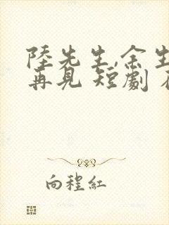 陆先生,余生不再见 短剧 在线观看