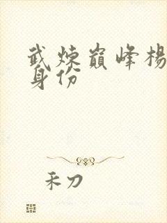 武炼巅峰杨开的身份