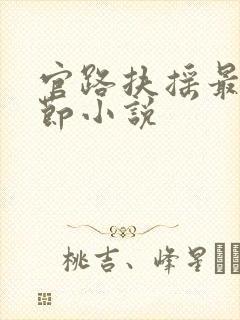 官路扶摇最新章节小说