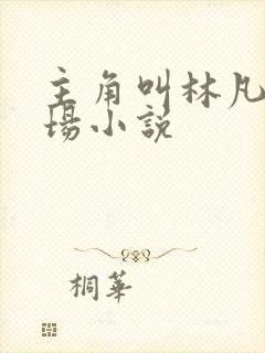 主角叫林凡的官场小说