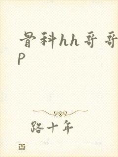 骨科hh哥哥np