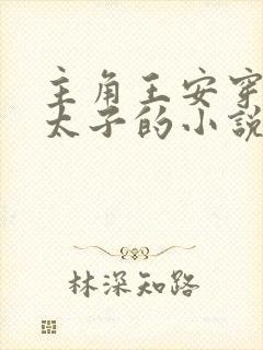 主角王安穿越成太子的小说