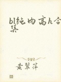 bl纯肉高h合集