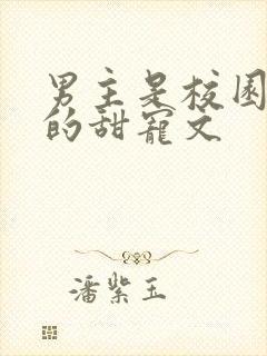 男主是校园大佬的甜宠文